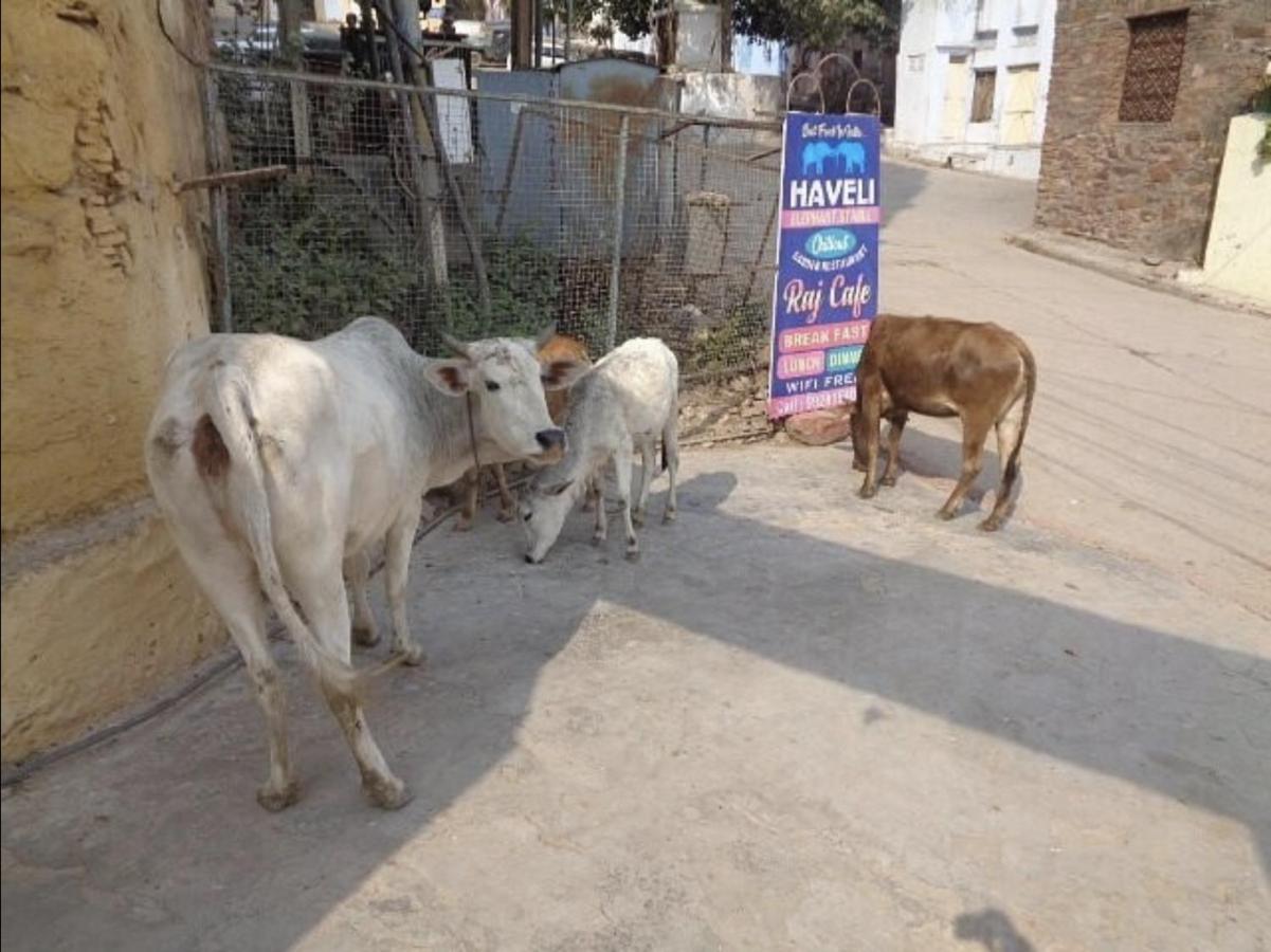 Haveli Elephant Stable Bundi Exterior photo